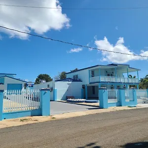 https://mavs-combate-beach-club.greaterantilleshotels.net